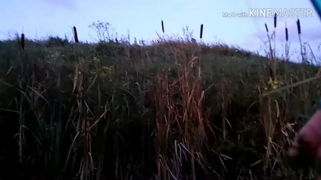 Первая рыбалка на щуку, поймали... смотреть онлайн
