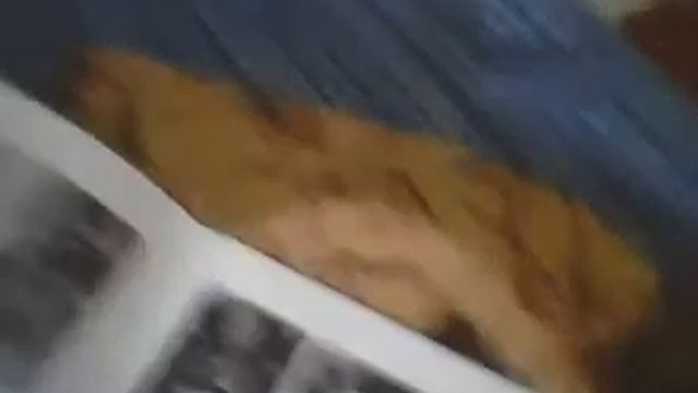 Мои наклейки футбол. смотреть онлайн