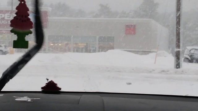 For Terror (turn volume up if have to) ~Whiskerz смотреть онлайн