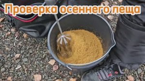 Тептярги 23.10.2024. Где зимует лещ