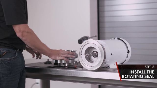 200 Series Pump Maintenance: Type 4 Seal смотреть онлайн