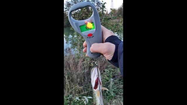 Раттлины (Вибы) 2021 года смотреть онлайн