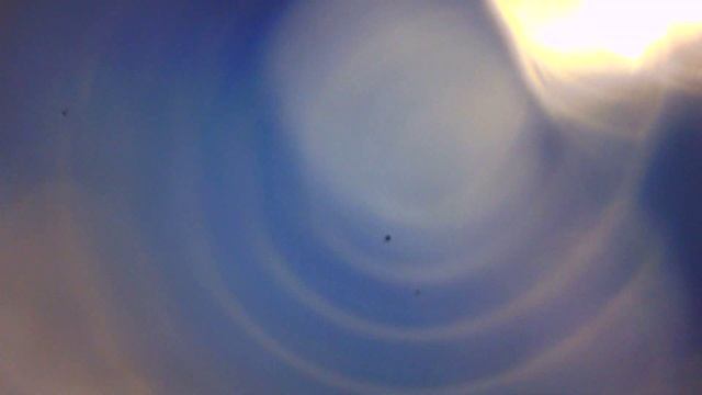 Andonstar AD208 Digital Microscope - Sample Video Full HD #2 смотреть онлайн