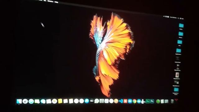Triple Boot I make it (Fedora & Windows $ Mac) смотреть онлайн