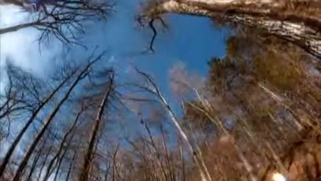 Обман восприятия зрения.Очень познавательно(The deception of perception of vision.Very informtive) смотреть онлайн