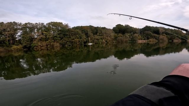 Pursuing Pike & Perch