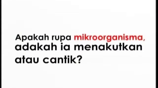 EduwebTV INFO SAINS MICROORGANISM смотреть онлайн