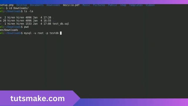Import Database from SQL Dump File to MySQL in Ubuntu Command Line смотреть онлайн
