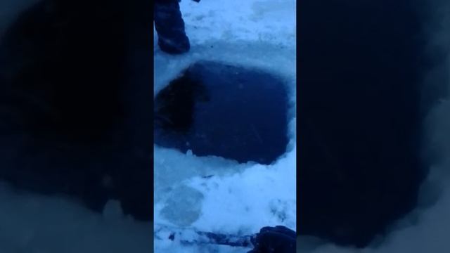 Проверка сети смотреть онлайн