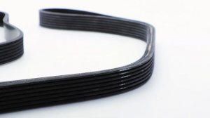 Product Release PB100161PC : Auxiliary Drive Belt