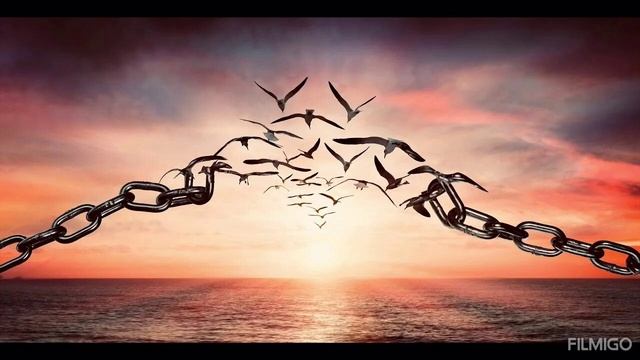 Pretium смотреть онлайн
