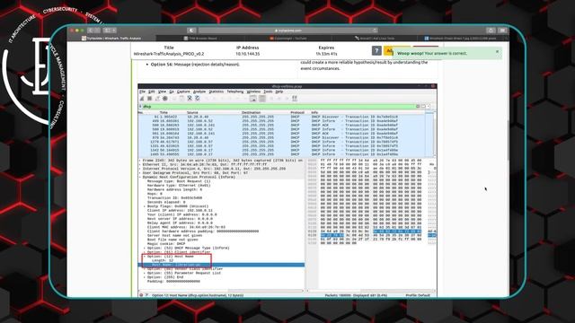 Wireshark Analysis Basics | Detecting Hosts, FTP, & DNS and ICMP Tunneling смотреть онлайн