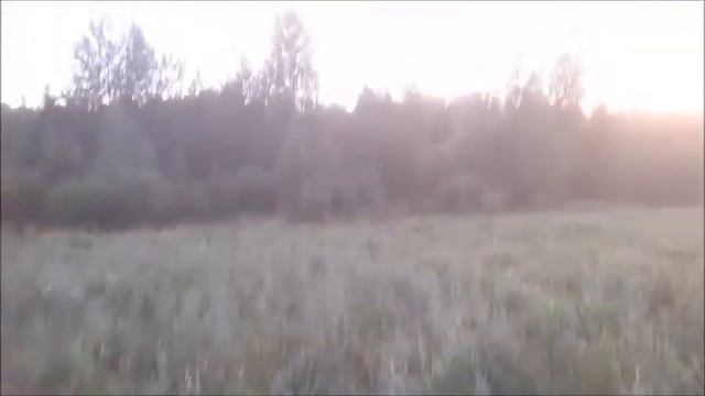 Добыча кабанчика 2021,с прицелом Диджекс N455 смотреть онлайн