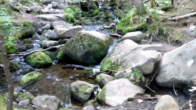 Mt. Moosilauke | Benton, New Hampshire смотреть онлайн