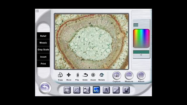 Elem Microscope Software Getting Started смотреть онлайн