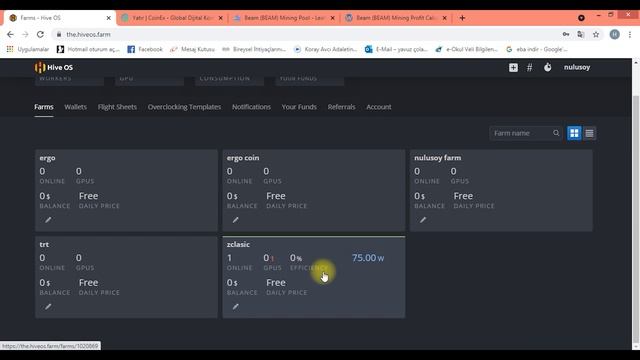 Beam Coin Mining- Hiveos Nvidia 1050ti Ekran kartıyla смотреть онлайн