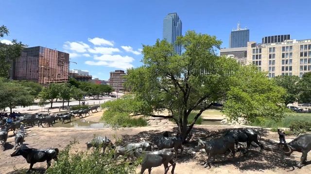 HDR sample video Apple Devices 4K HEVC 10 bit, HLG, Dolby Vision 8 4 смотреть онлайн