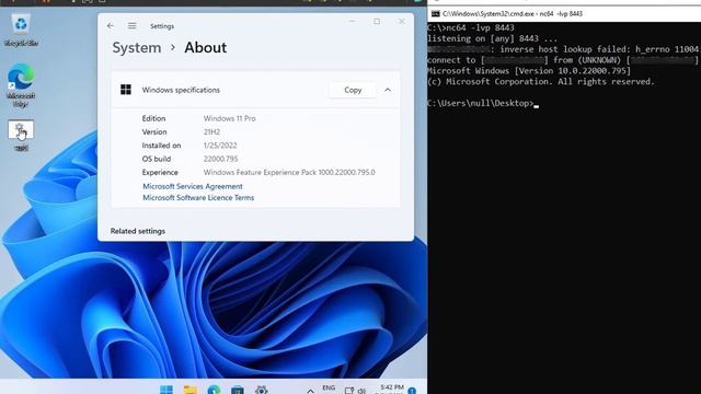 Undetectable connect-back shell for Windows 11 Pro Build 22000.795 (July 12, 2022—KB5015814) смотреть онлайн