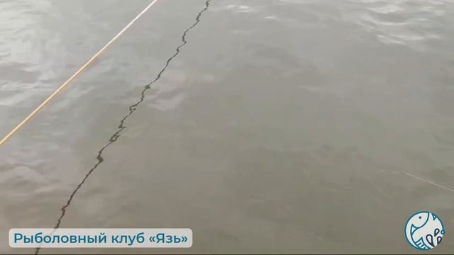 14.06.2024г. Рыболовный клуб «Язь» смотреть онлайн