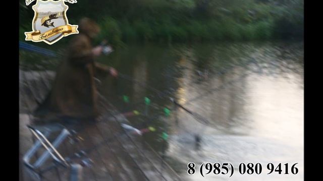 Белавино! смотреть онлайн