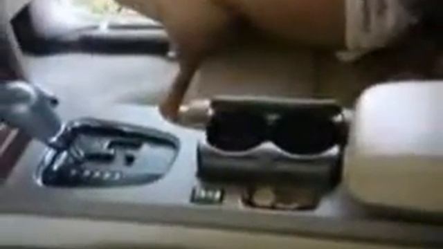 Swing Away Compact Car Organizer