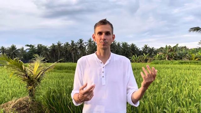 Плавательный лагерь в Сочи смотреть онлайн