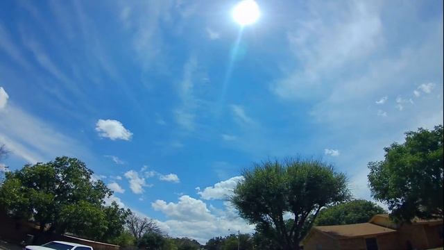 Go Down There And Turn Around That Tree