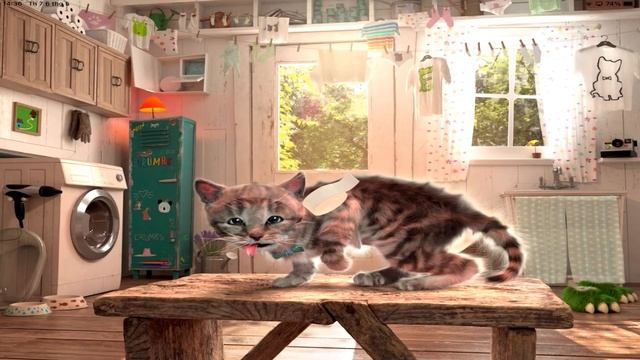 SPECIAL LITTLE KITTEN ADVENTURE LONG VIDEO- ADVENTUROUS JOURNEY OF CUTE KITTEN AND ANIMAL FRIENDS # смотреть онлайн