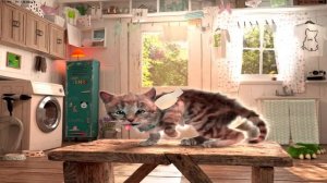 SPECIAL LITTLE KITTEN ADVENTURE LONG VIDEO- ADVENTUROUS JOURNEY OF CUTE KITTEN AND ANIMAL FRIENDS #