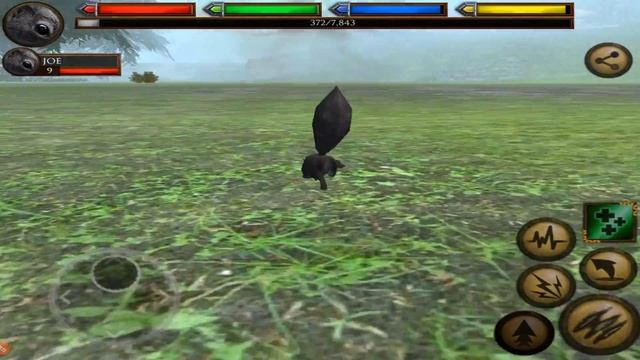 Forest Squirrel Simulator 3D, Ultimate Forest Simulator, By Gluten Free Games