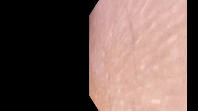 8 предметов под увеличением.