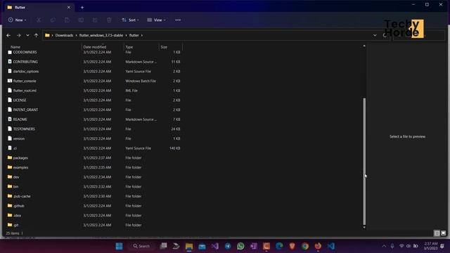 Get the Flutter SDK in Windows Machine - Techy Horde смотреть онлайн