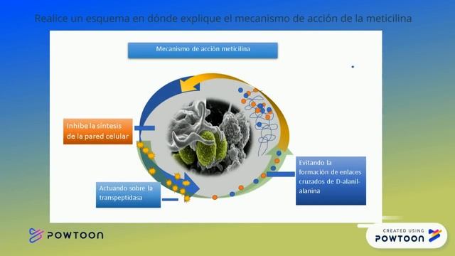 Bacteriemia por staphylococcus Aureus смотреть онлайн