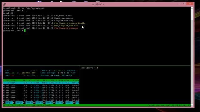 Hướng dẫn cấu hình SSL trên Web Server NGINX смотреть онлайн