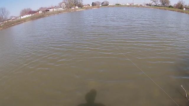 First chance to try out the Kastking Sharky 2 and Blackhawk travel rod. смотреть онлайн