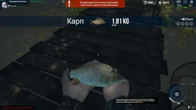 Professional Fishing 1.8 часть смотреть онлайн
