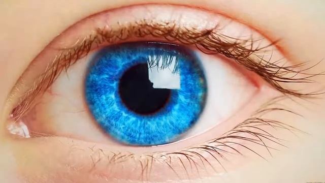 Топ 11 чудовищ, которых без микроскопа не разглядеть....