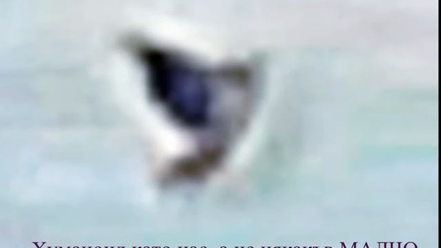 UFO. НЛО. Извънземните под лупа смотреть онлайн