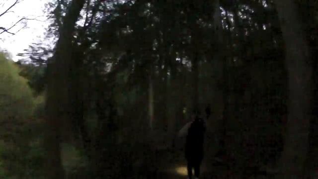 Zombie Dash смотреть онлайн