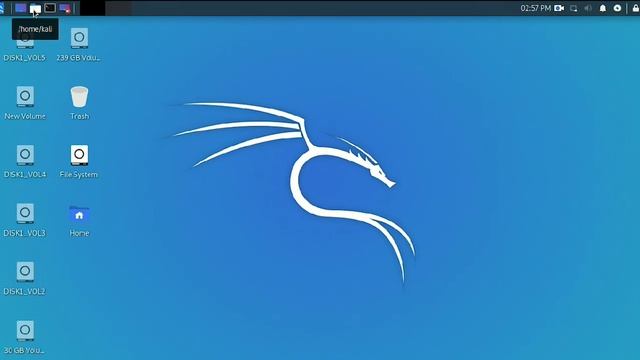 Kali Linux in hindi/urdu смотреть онлайн