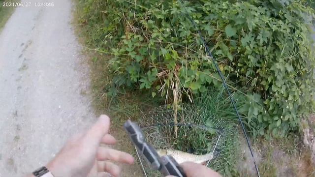 Рыбалка на речьке Альц смотреть онлайн