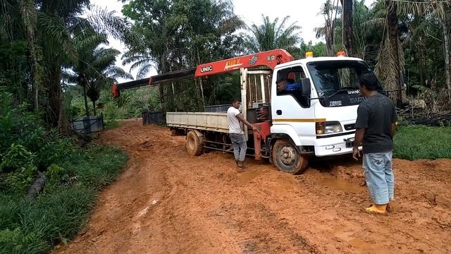 CARMEN TRANSPORT ISUZU JUSTON 2001 SURINAME смотреть онлайн