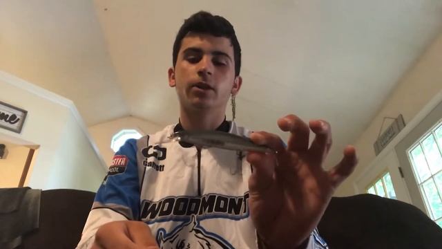 Top 5 summer bass lures смотреть онлайн