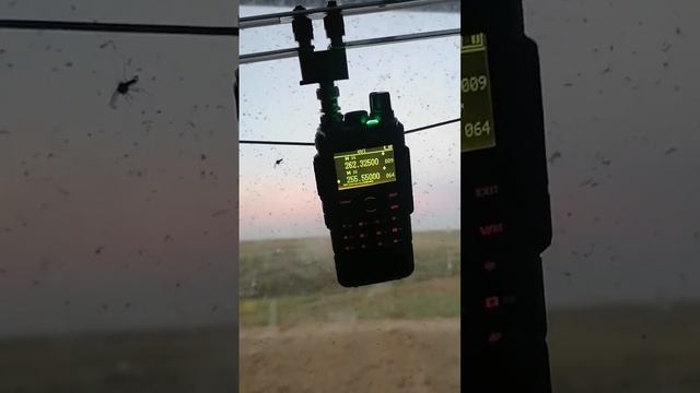 Сатком на застон. смотреть онлайн