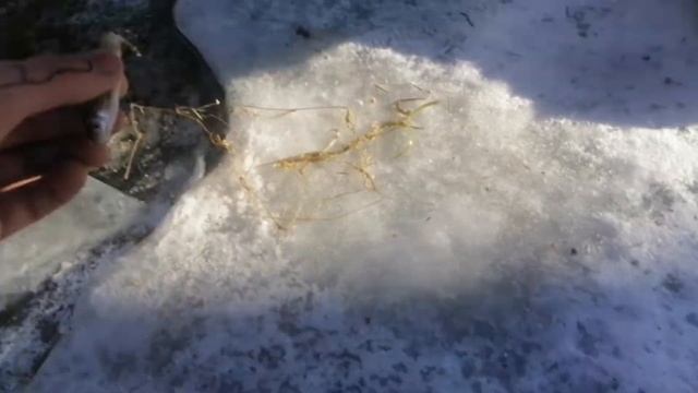 VLOG:Рыбачим руками, рыбылка без удочки смотреть онлайн