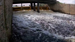 поселок Игра лесная речка Саля