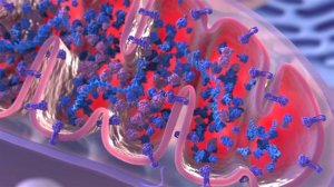 Цитофлавин