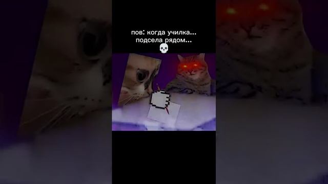 edit пов: когда училка подсела рядом #школа #edit #bez.registrahii,i.SMS.besplatno meme @meme