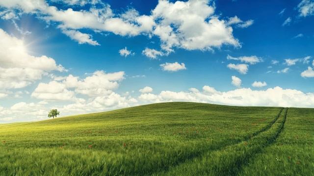 Windows XP -Meme Sound- смотреть онлайн