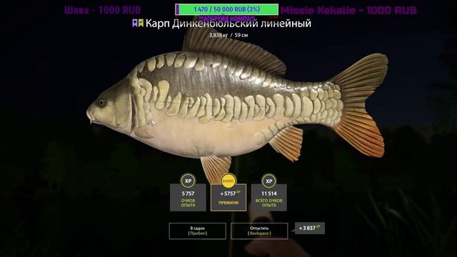 Русская рыбалка 4! ОБНОВЛЕНИЕ Стоит ли брать тур на НОВЫЙ ВОДОЕМ?!Подарки за подписку! смотреть онлайн